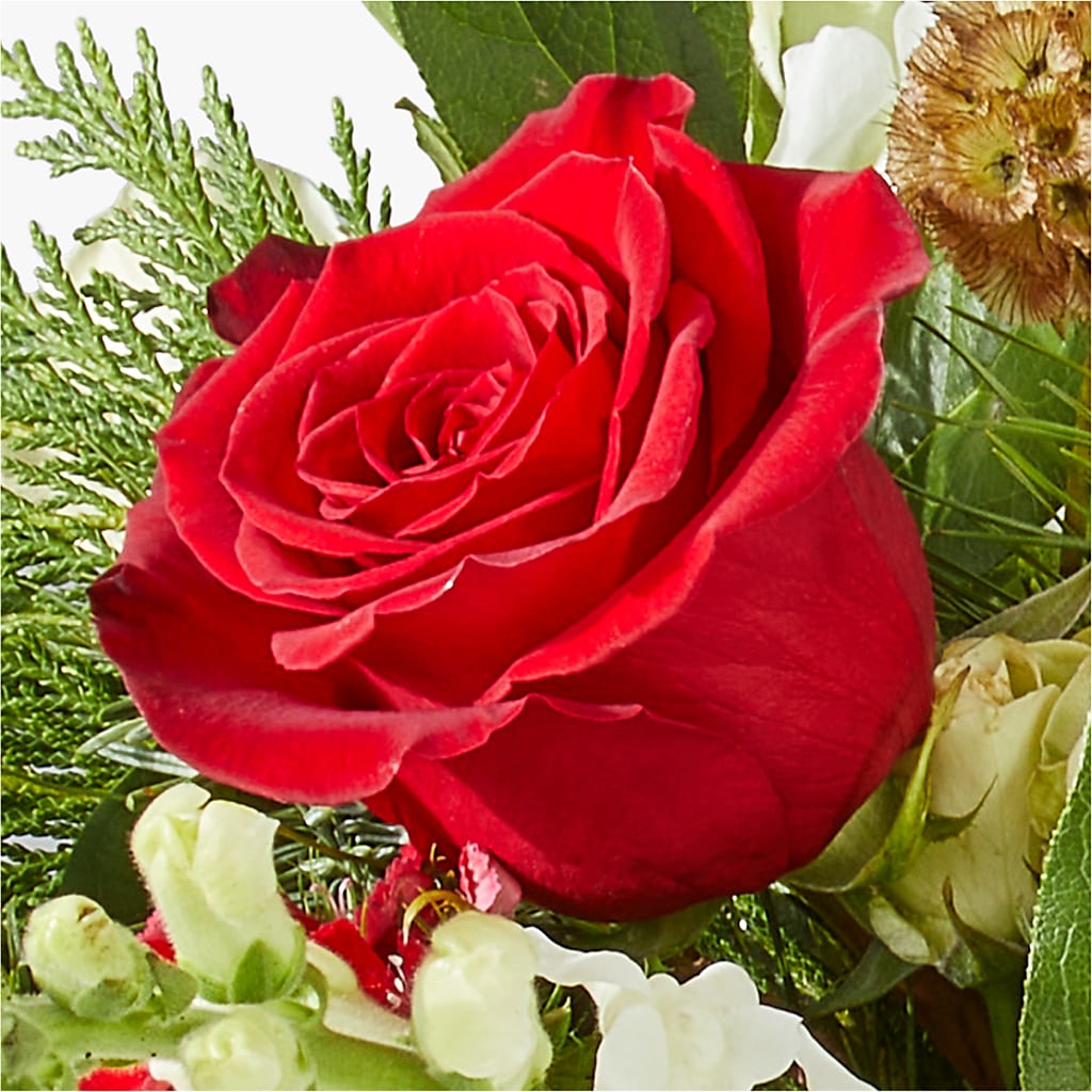 Deck the Halls Bouquet –  Royalty Flowers, Alexandria VA