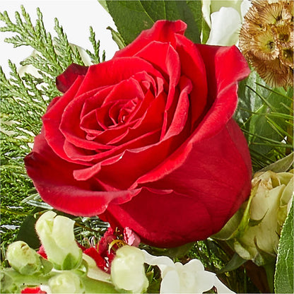 Deck the Halls Bouquet –  Royalty Flowers, Alexandria VA