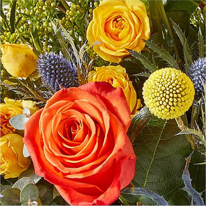 Disco Bouquet –  Royalty Flowers, Alexandria VA