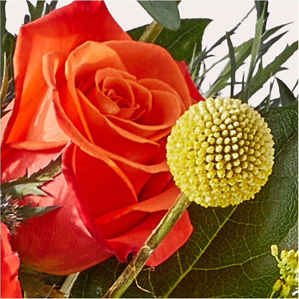 Disco Bouquet –  Royalty Flowers, Alexandria VA