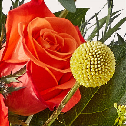 Disco Bouquet –  Royalty Flowers, Alexandria VA