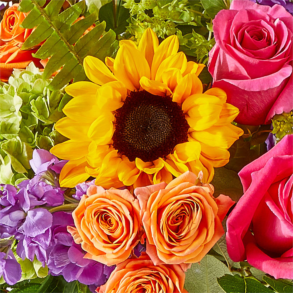 Vibrant Greetings Bouquet –  Royalty Flowers, Alexandria VA