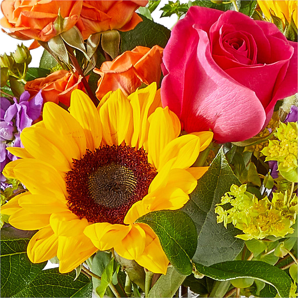 Vibrant Greetings Bouquet –  Royalty Flowers, Alexandria VA