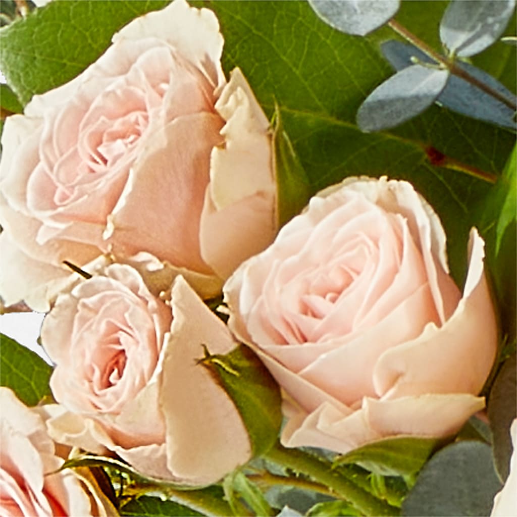 Inspired Bouquet –  Royalty Flowers, Alexandria VA