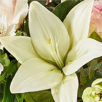 Ballet Slippers Bouquet –  Royalty Flowers, Alexandria VA