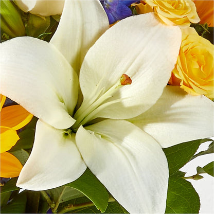 Wonderfully Sunny Bouquet –  Royalty Flowers, Alexandria VA