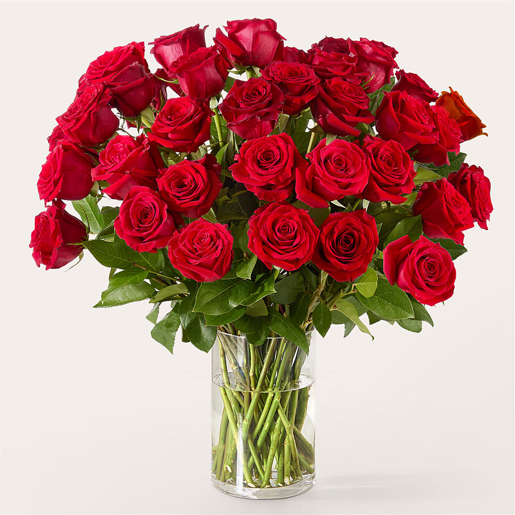 The One Red Rose Bouquet –  Royalty Flowers, Alexandria VA