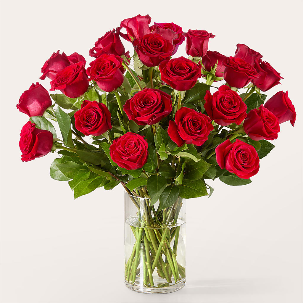 The One Red Rose Bouquet –  Royalty Flowers, Alexandria VA