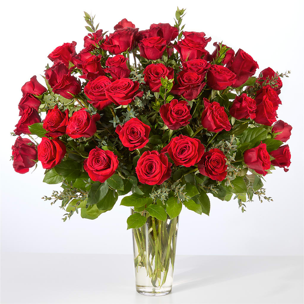 Forever Yours Fifty Stem Red Rose Bouquet –  Royalty Flowers, Alexandria VA