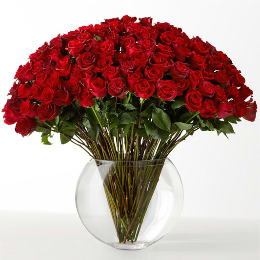 The Idealist –  Royalty Flowers, Alexandria VA