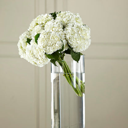White Hydrangea Hand-Tied Bouquet –  Royalty Flowers, Alexandria VA
