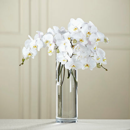 White Phalaenopsis Bouquet –  Royalty Flowers, Alexandria VA